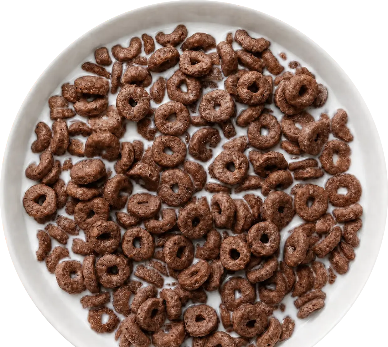 Cocoa