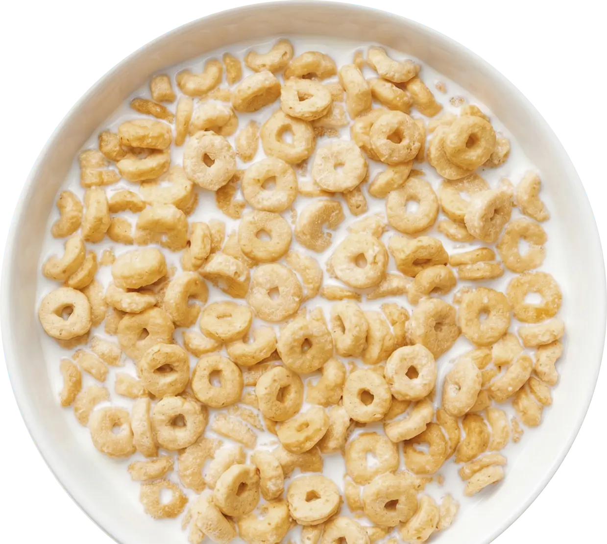 Vanilla Frosted